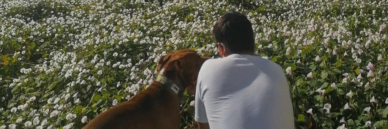 danielriobo's profile banner image