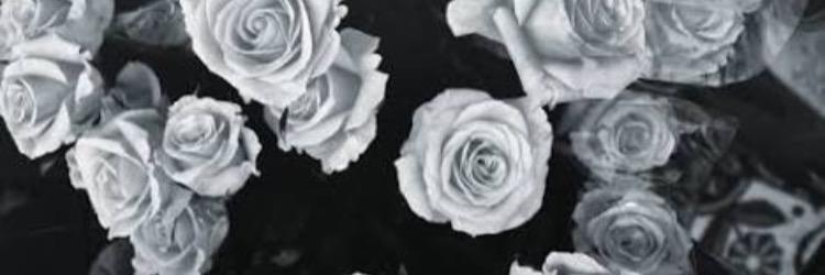 natamorimm's profile banner image