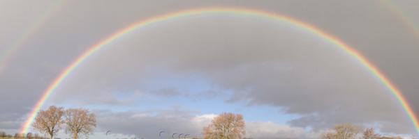 HelmBarBrews Profile Banner