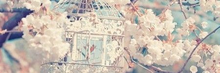 소프📺 banner