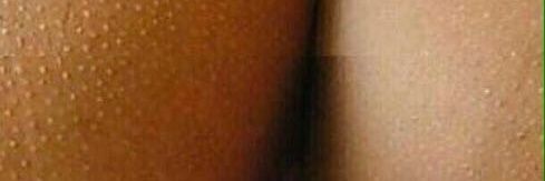 willi113086's profile banner image