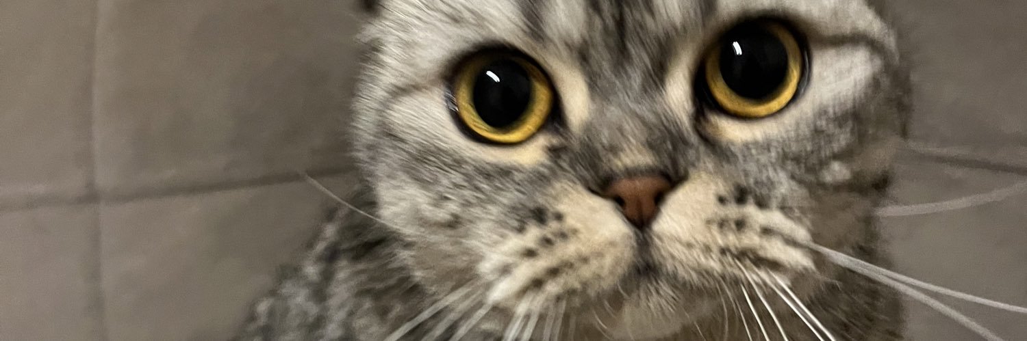 Hivvaa's profile banner image