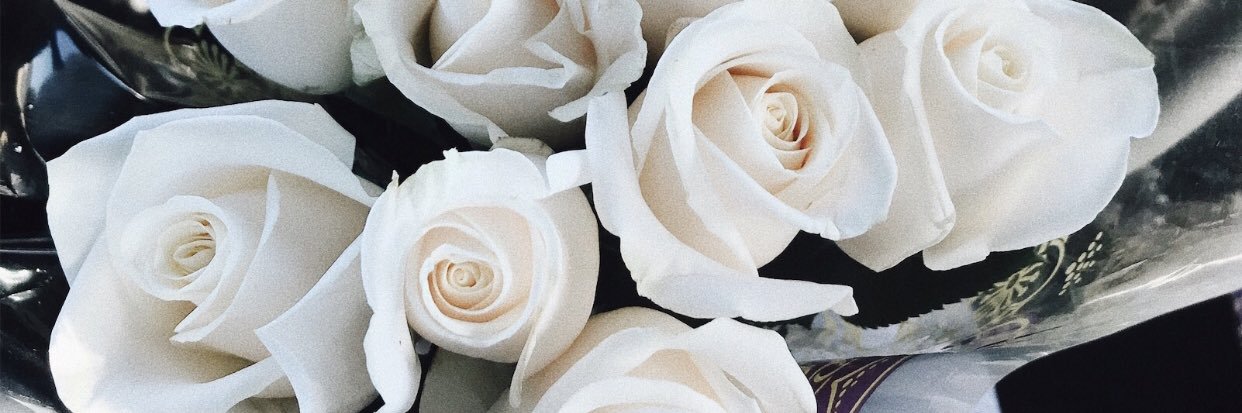 jessdahlin's profile banner image