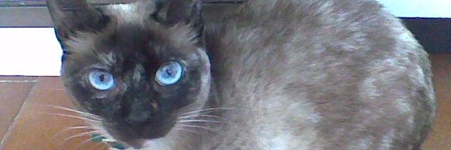 mirian1990's profile banner image