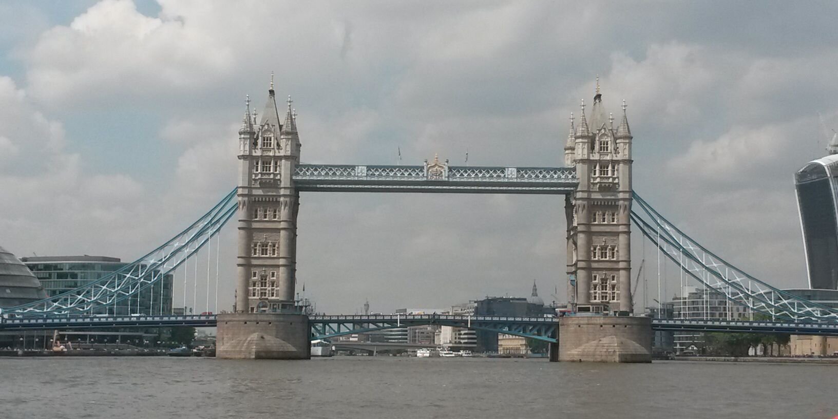 Nikki Millard banner