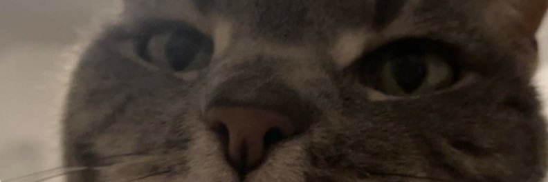 seanathons's profile banner image