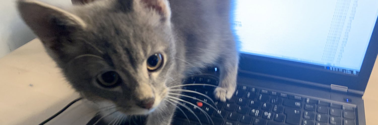 KalleF's profile banner image