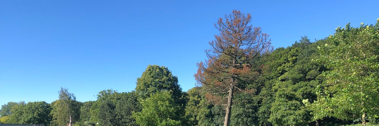tugcesatir's profile banner image