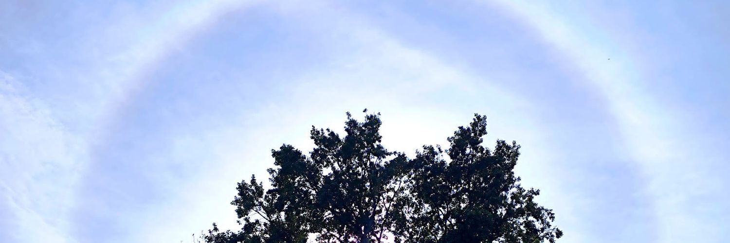 freid_zona's profile banner image