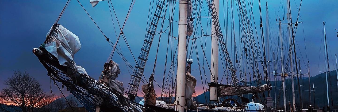 danielletink87's profile banner image