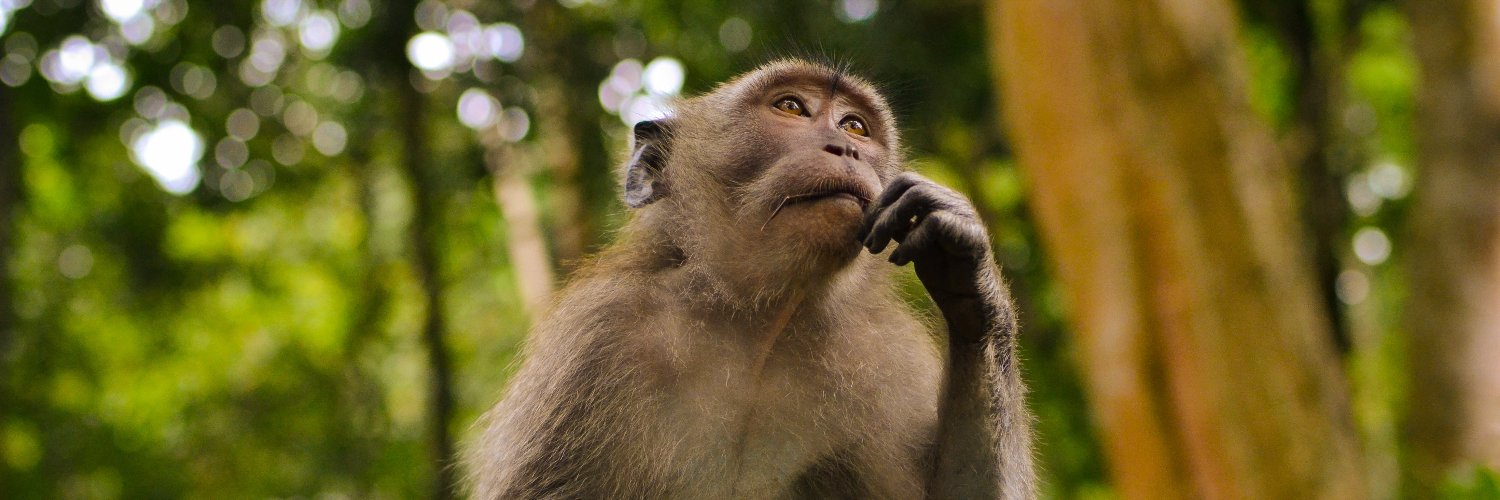 Gauransh V. Sanjay banner