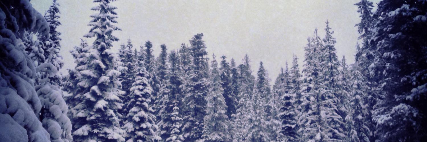 morgancollum's profile banner image