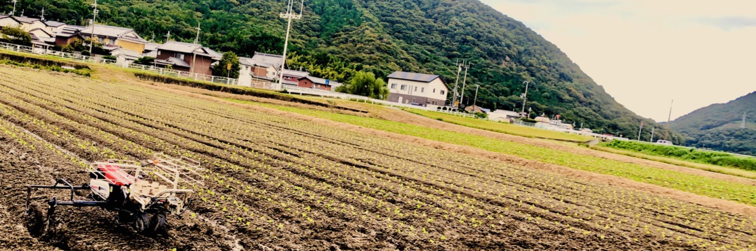 H_Y_B_cusu's profile banner image