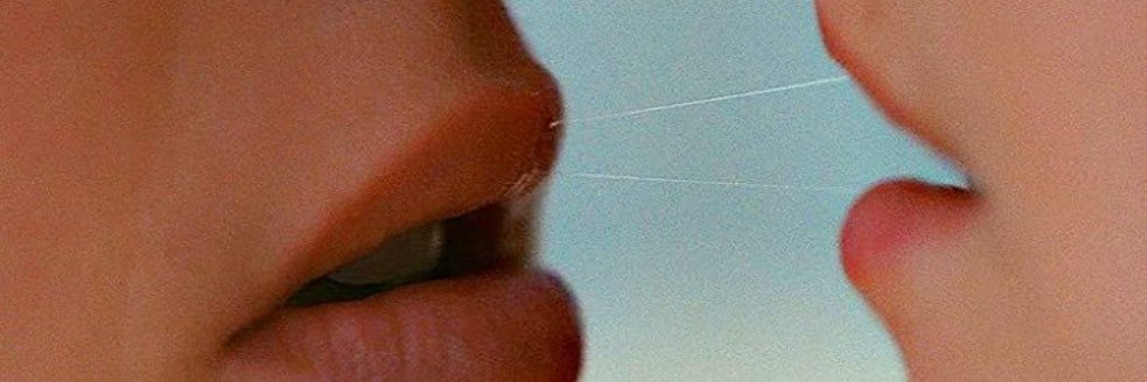 Nina_Fancha's profile banner image