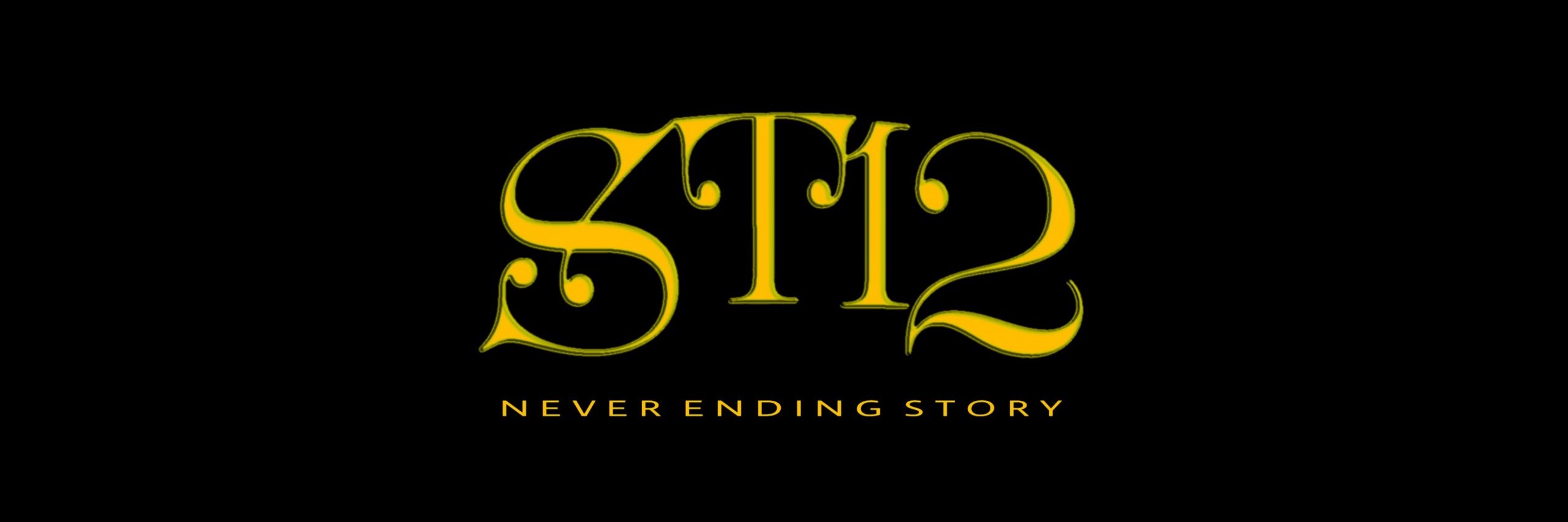 ST12 Band banner
