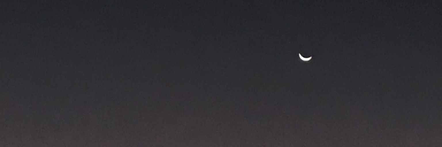 magomezc_c's profile banner image