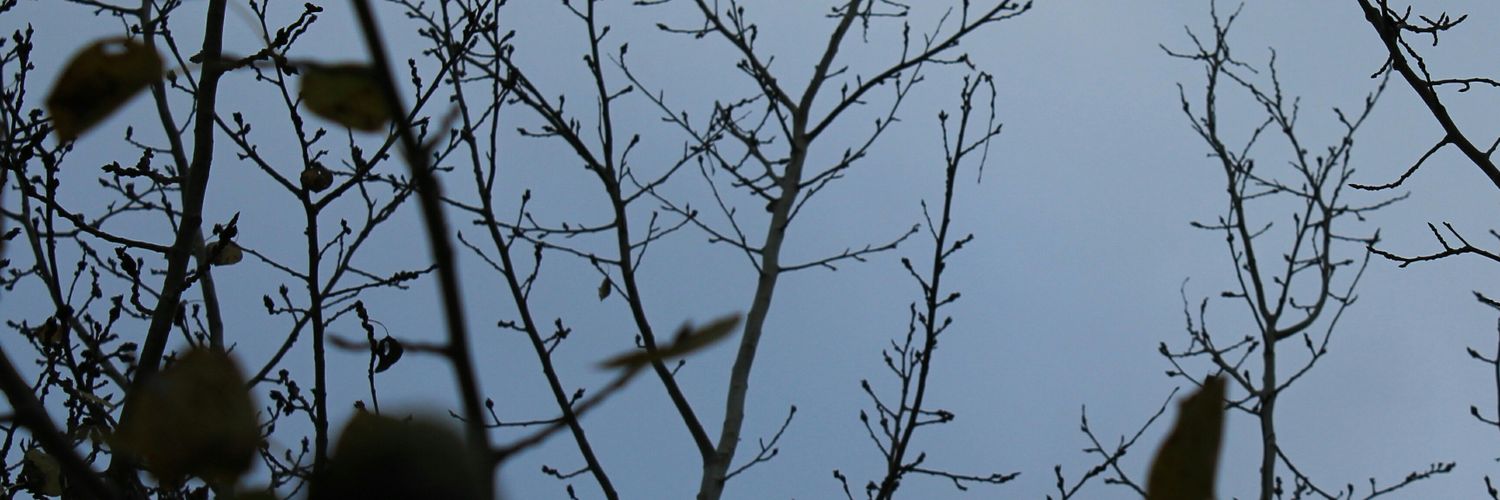 prochebeats's profile banner image