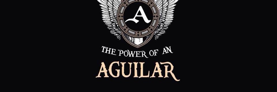 David Aguilar banner