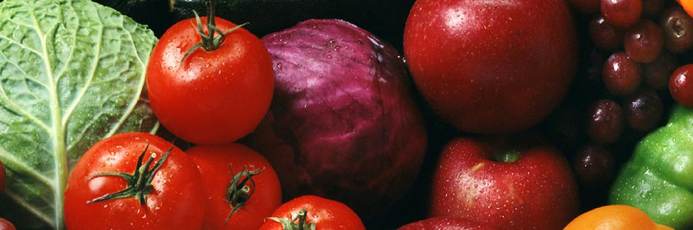 RiseAgainstHunger banner