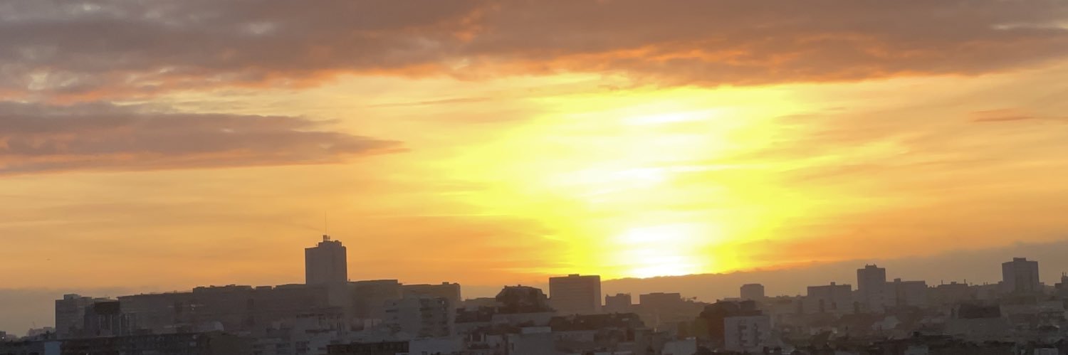 FMetailie's profile banner image