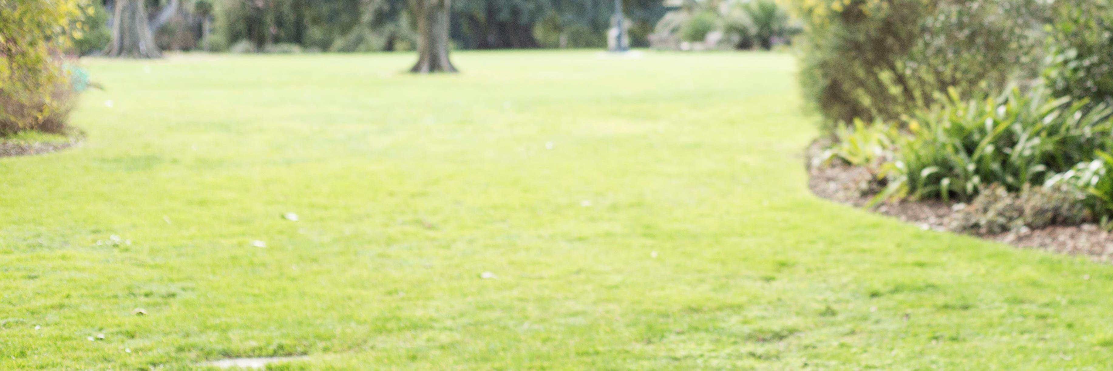 JacquiJoseph's profile banner image