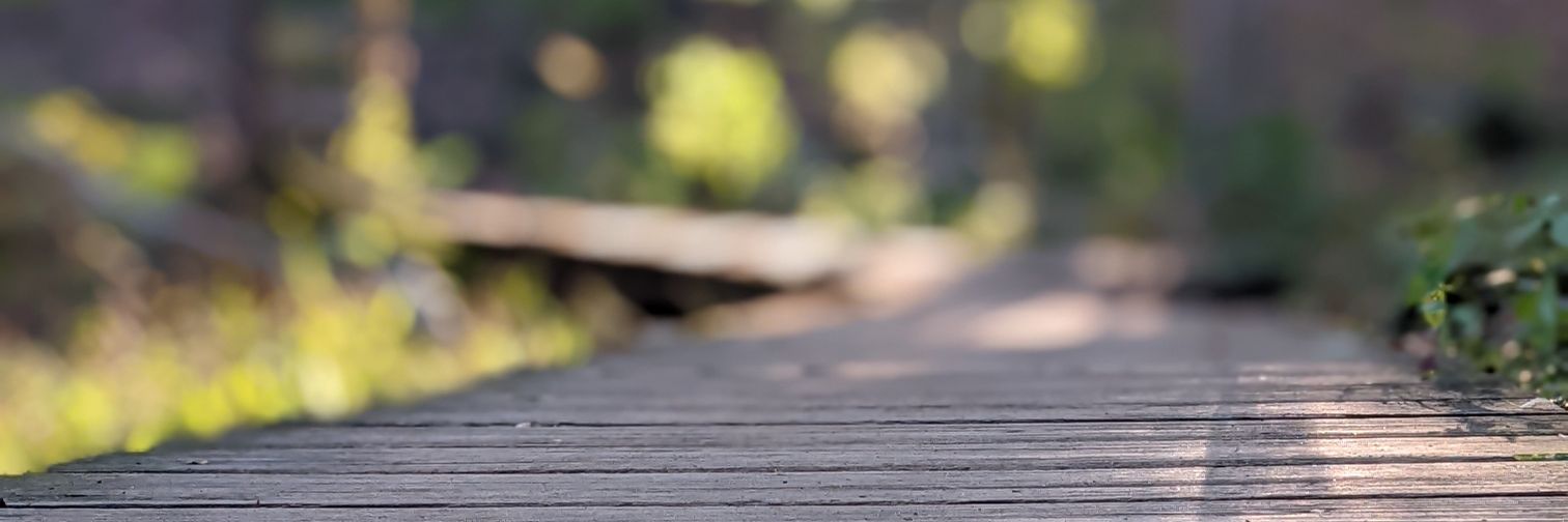 Alex Lancaster banner