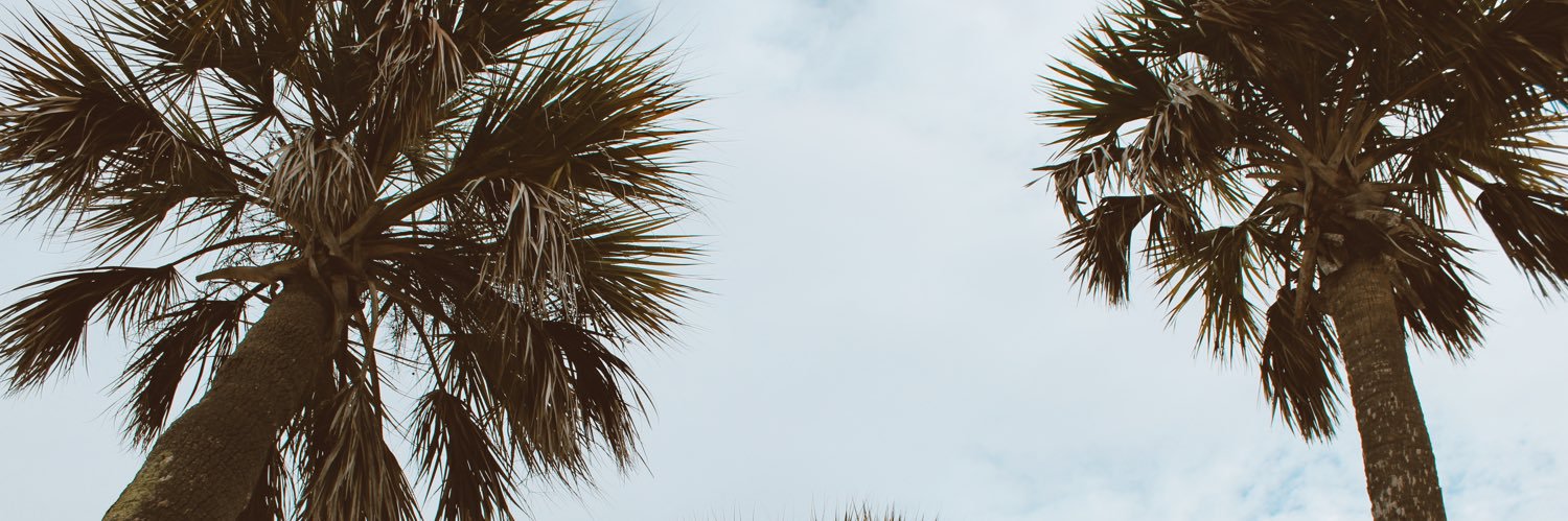 MakiahTorres's profile banner image