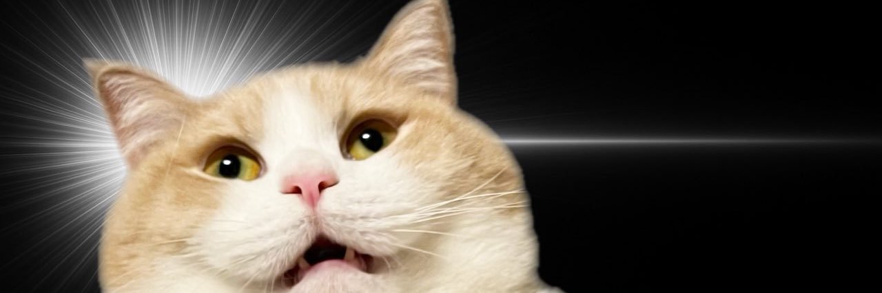 Red_Ari_Ma's profile banner image
