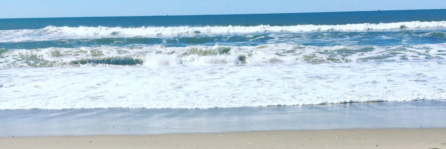 birdfishchron1's profile banner image