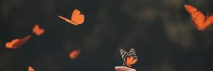 jjaa1996's profile banner image