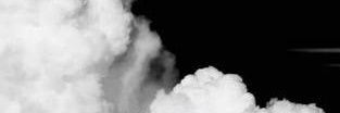 feelinalivee's profile banner image