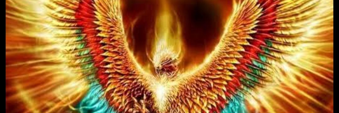 RYMARIES44's profile banner image