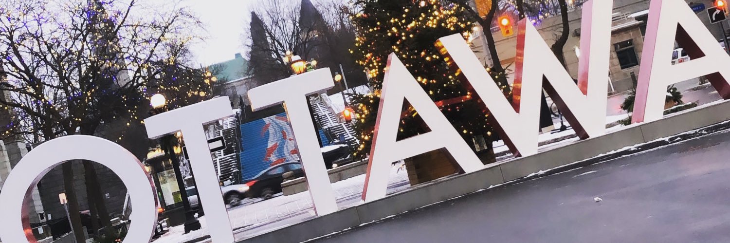 Brittnay Del Guidice banner