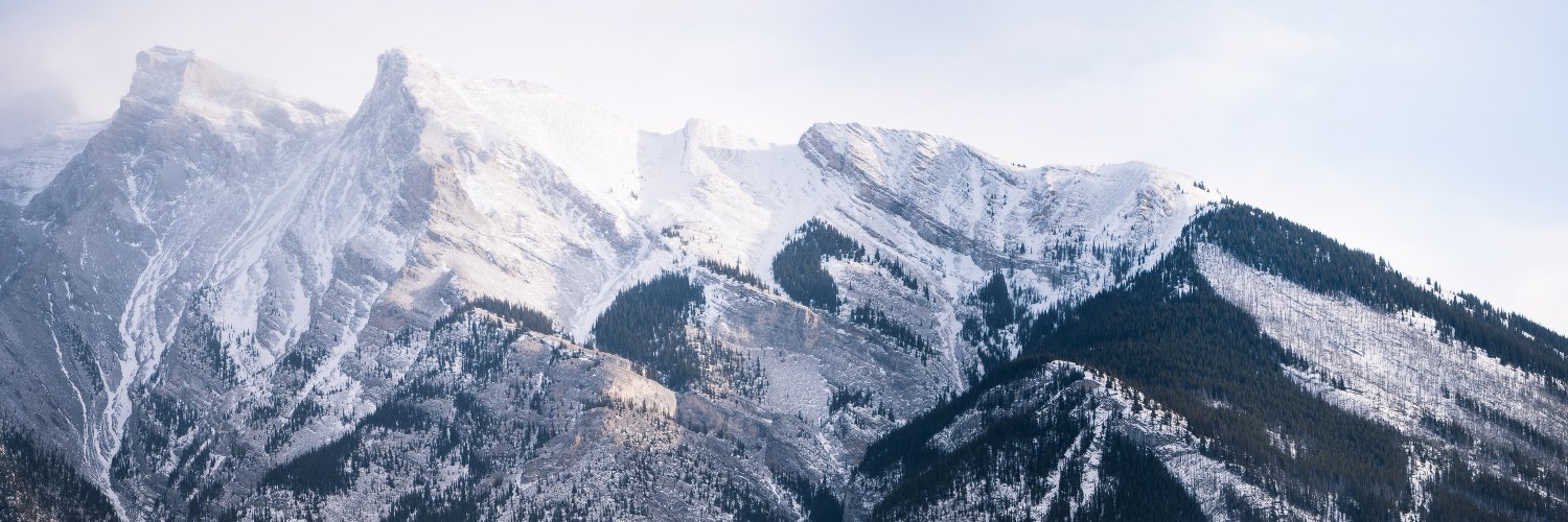 Jessen_Kitty's profile banner image