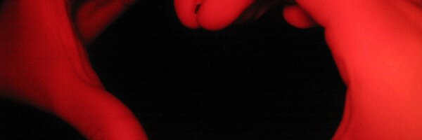 Samuelelflipper Profile Banner