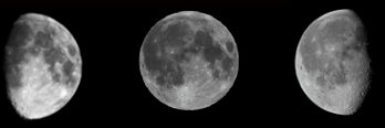 river_drosera's profile banner image