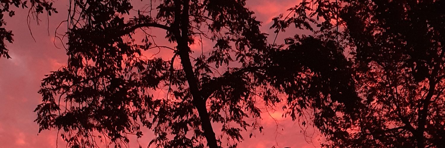 MoonKsoo_'s profile banner image