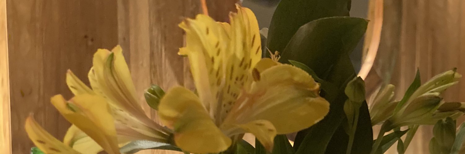 gabidsanches's profile banner image