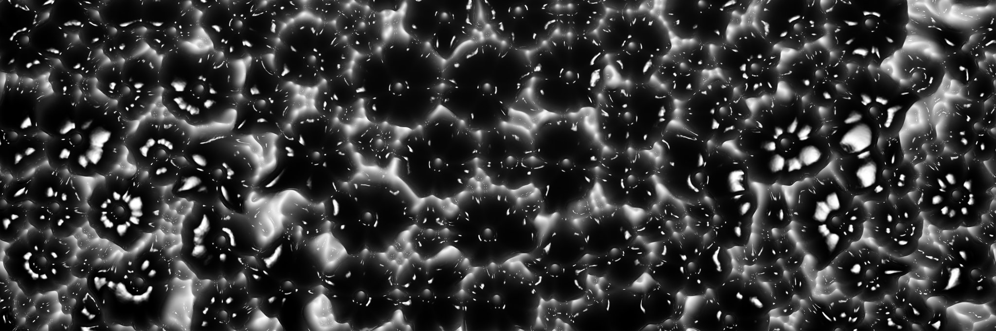 Cornus Ammonis banner