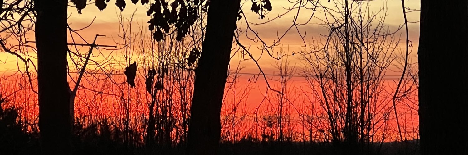 makemyshea's profile banner image