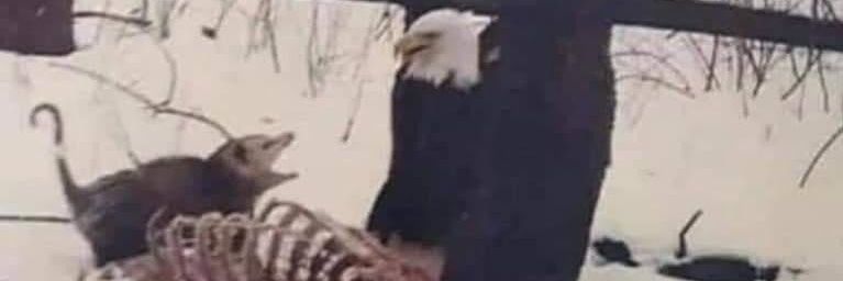 FatherAlfredo's profile banner image