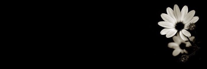 BahzatMustafa's profile banner image