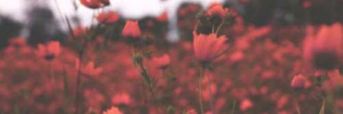 KatherineP_96's profile banner image