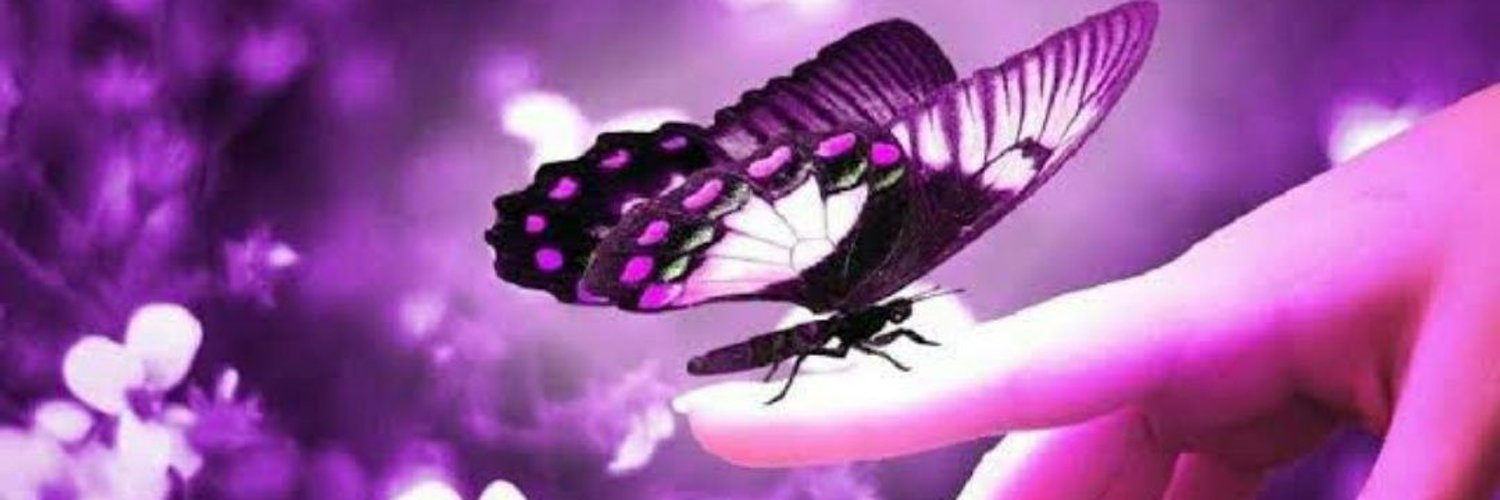 laf44556's profile banner image