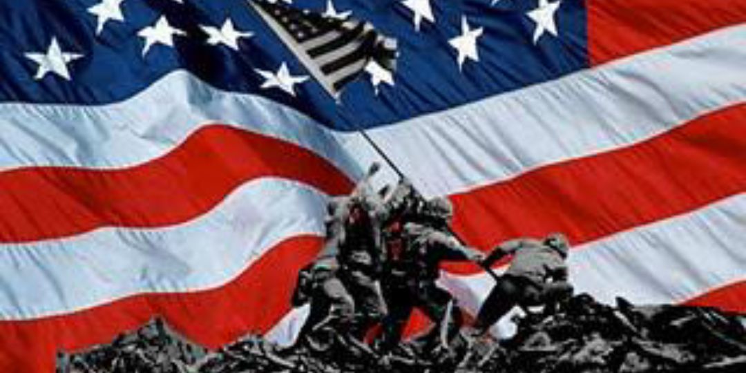 NHSProjectVETS's profile banner image