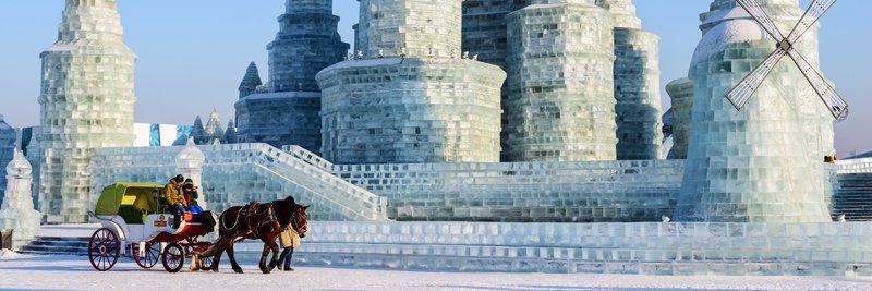 sonofGenghis's profile banner image