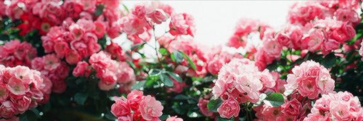 KamScroggs's profile banner image