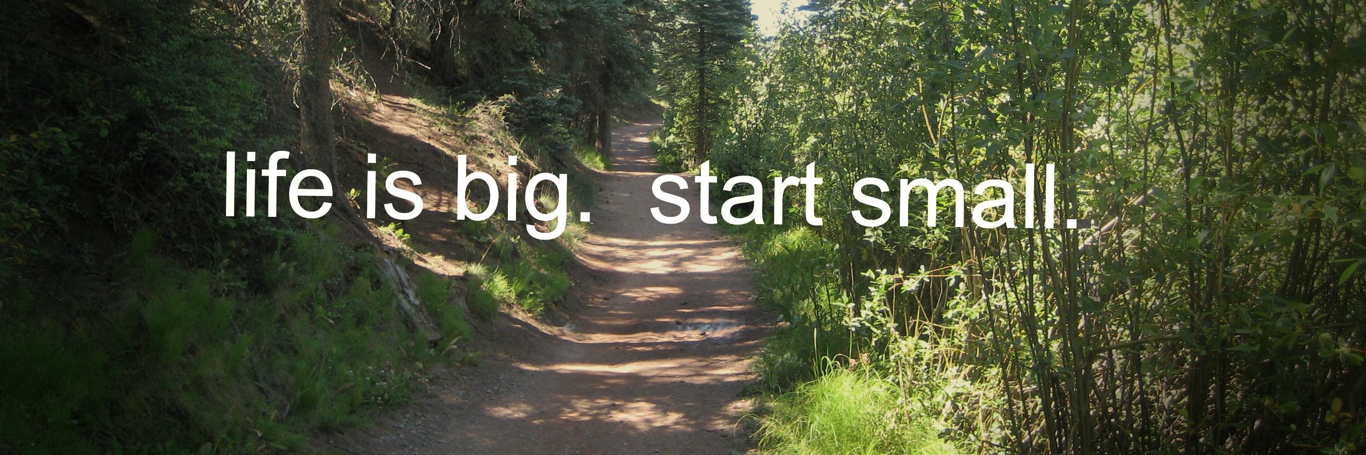ShaunaLifeCoach's profile banner image