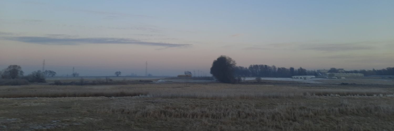 Michał Wojnarowicz banner