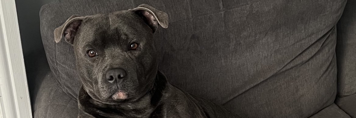 Grainger🤙🏼 banner